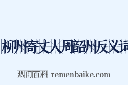柳州寄丈人周韶州反义词是什么意思的图片